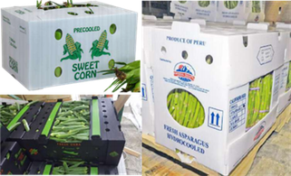 Cajas de embalaje corrugadas de PP